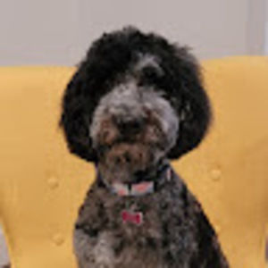 Meet your Posher, Sabrina